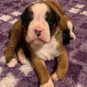 Meet your Posher, Kari